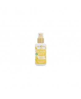 Purity Vision Bio Hidro Niacinamido Booster 100ml