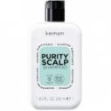 Kemon Color Mask 200 ml Kemon Color Mask 200 ml
