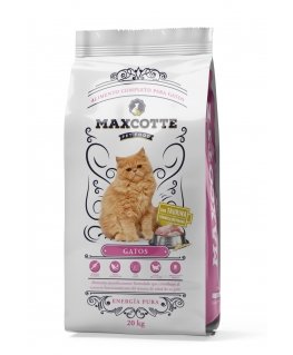 MAXCOTTE Kassid - kuiv kassitoit - 20kg