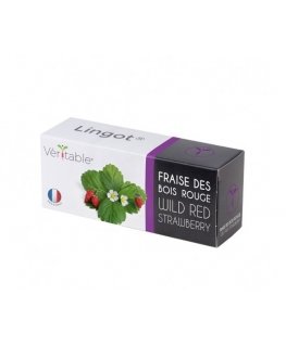 Véritable 3760262511368 auginimo rinkinys / papildymas Braškių Pakartotinis pripildymas