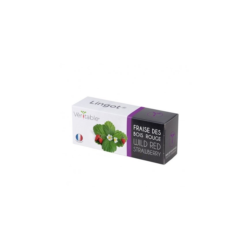 Véritable 3760262511368 growing kit/refill Strawberry