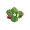 Véritable 3760262511368 growing kit/refill Strawberry Véritable 3760262511368 growing kit/refill Strawberry