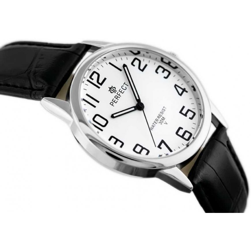 Часы MALE PERFECT CLASSIC WATCH (zp269a) – 3