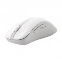 ASUS Wireless MD102 mouse Universal Right-hand RF Wireless + Bluetooth Optical 1600 DPI