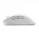 ASUS Wireless Mouse MD102 kompiuterio pelė Universalus Dešinės rankos RD belaidis ryšys + „Bluetooth ASUS Wireless Mouse MD102 kompiuterio pelė Universalus Dešinės rankos RD belaidis ryšys + „Bluetooth