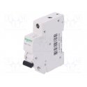 Schneider A9K01110 Schneider A9K01110