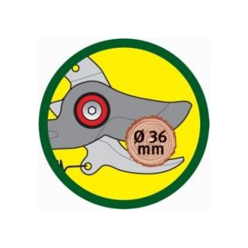 WOLF-Garten RR-VM – 4