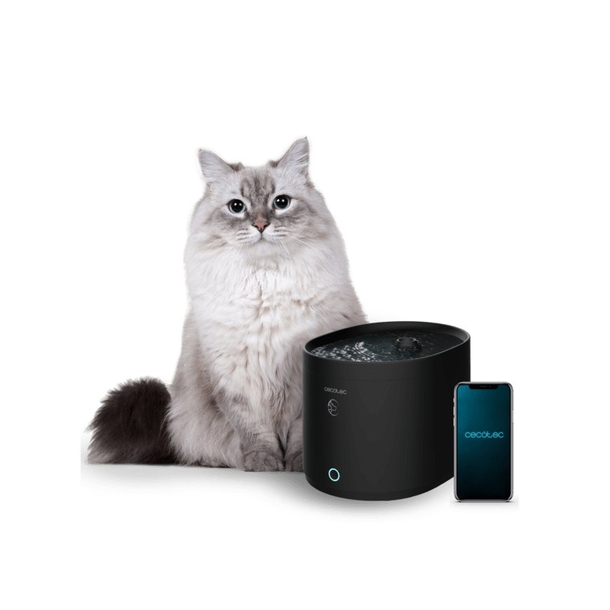 Cecotec Pumba 2500 Refresh Smart dog/cat feeder/waterer – 4