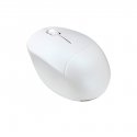 ASUS Fragrance Mouse MD101 pele Mājas Abām rokām RF bezvadu sakari + Bluetooth Optisks 2400 DPI ASUS Fragrance Mouse MD101 pele Mājas Abām rokām RF bezvadu sakari + Bluetooth Optisks 2400 DPI