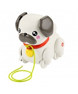 Fisher-Price HTW94 tõmba-tõuka mänguasi