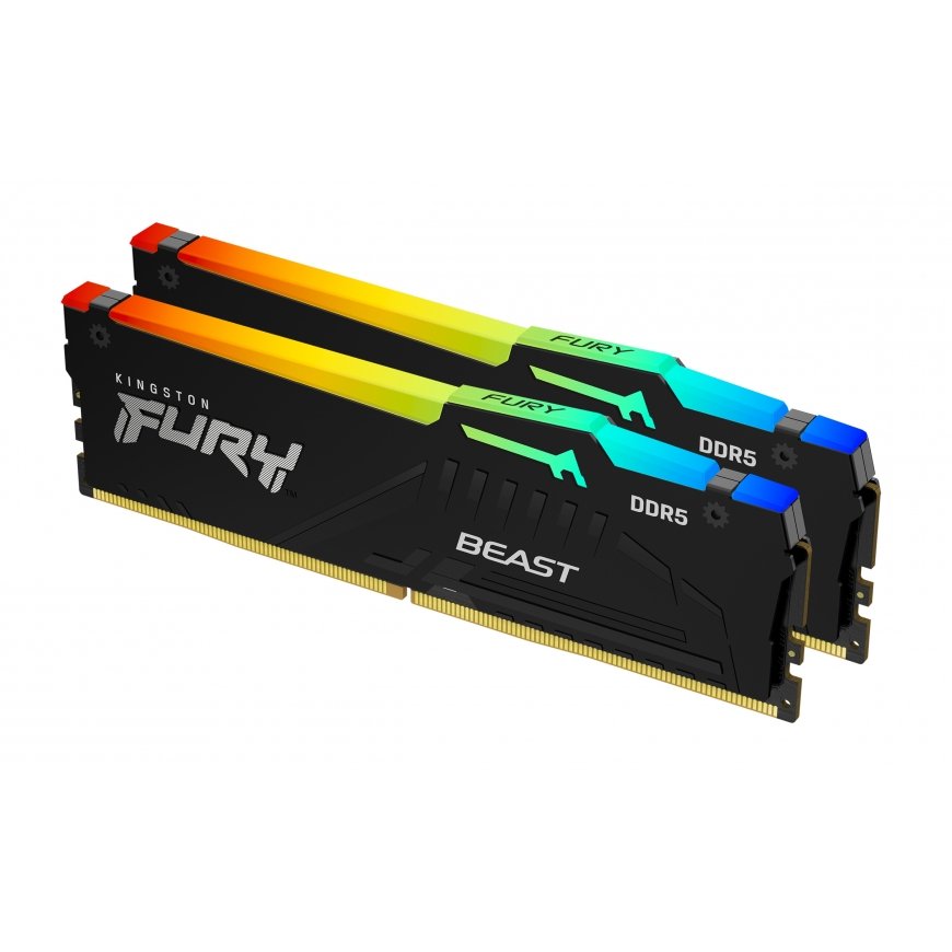 Kingston Technology Kingston Technology FURY Beast