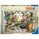 Ravensburger Our Feathered Friends Kuviopalapeli 1000 kpl Eläimet Ravensburger Our Feathered Friends Kuviopalapeli 1000 kpl Eläimet