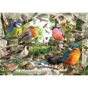 Ravensburger Our Feathered Friends Puzle 1000 pcs Dzīvnieki