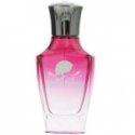 Policijas Potion Power Eau de Parfum vīriešiem Testeris 100 ml