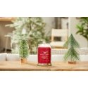 Yankee Candle 1629975E vaško žvakė Cilindras Cinamonas, Gvazdikėliai Raudona 1 vnt