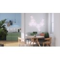 Nanoleaf Skins Kansi