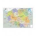 Dante Lisciani I'm a genius Magnet. Map of Poland PL105496