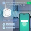Älykäs kaasuvuototunnistin NOUS E9, ZigBee, TUYA Älykäs kaasuvuototunnistin NOUS E9, ZigBee, TUYA