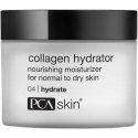 PCA Skin Collagen Hydrator face cream, 48 g PCA Skin Collagen Hydrator face cream, 48 g
