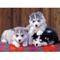 Ravensburger 4005556128235 Ravensburger 4005556128235