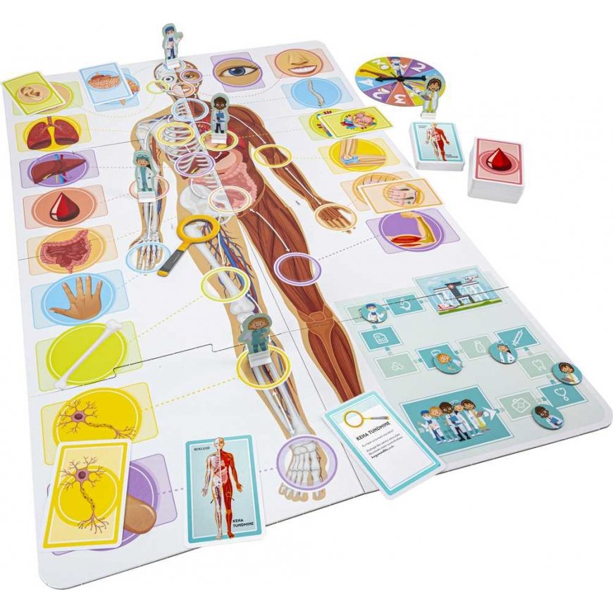 Tactic board game Let's get to know our wonderful body – 2