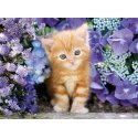 Clementoni 30415 pusle 500 tk Animals Clementoni 30415 pusle 500 tk Animals