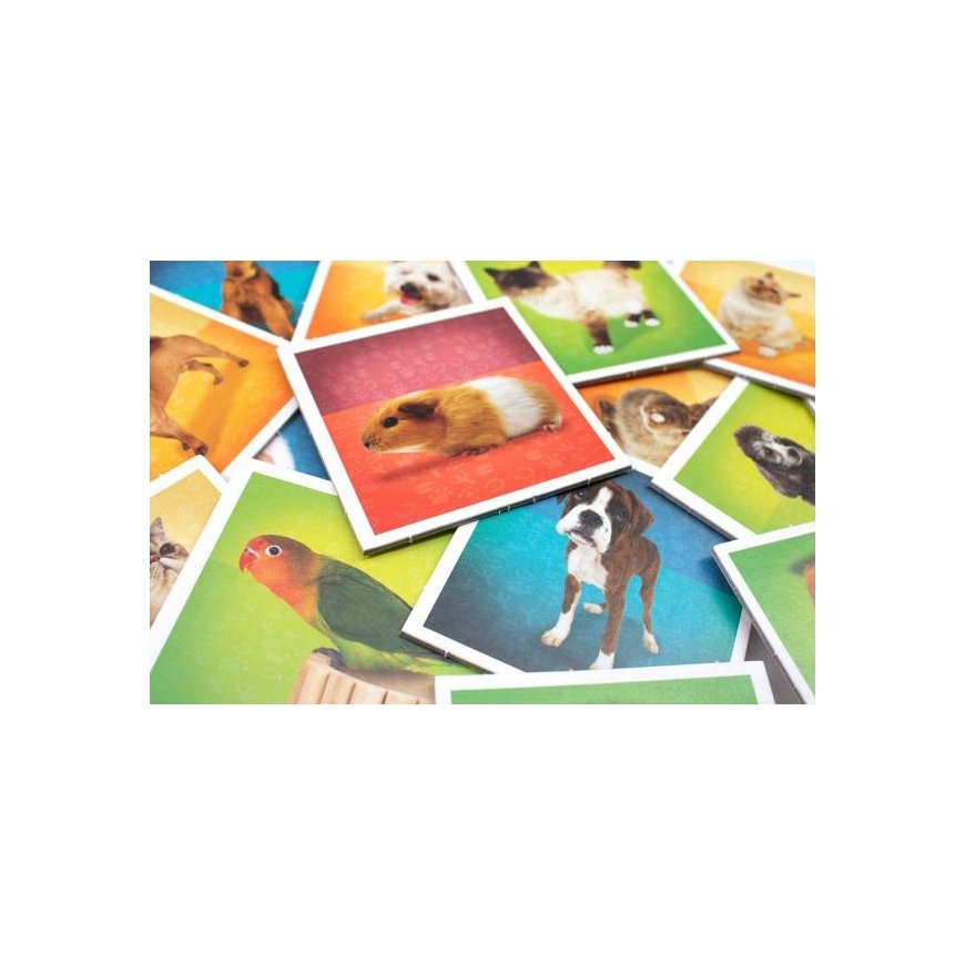Tactic Pets Memo Карточная игра Matching – 3