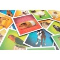 Tactic Pets Memo Korttipeli Yhdistelypeli