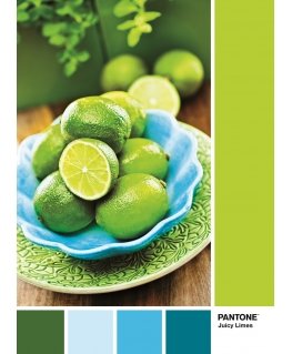 Clementoni 39492 pusle