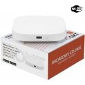 OXT USB WiFi TUYA T155 датчик присутствия с радаром OXT USB WiFi TUYA T155 датчик присутствия с радаром
