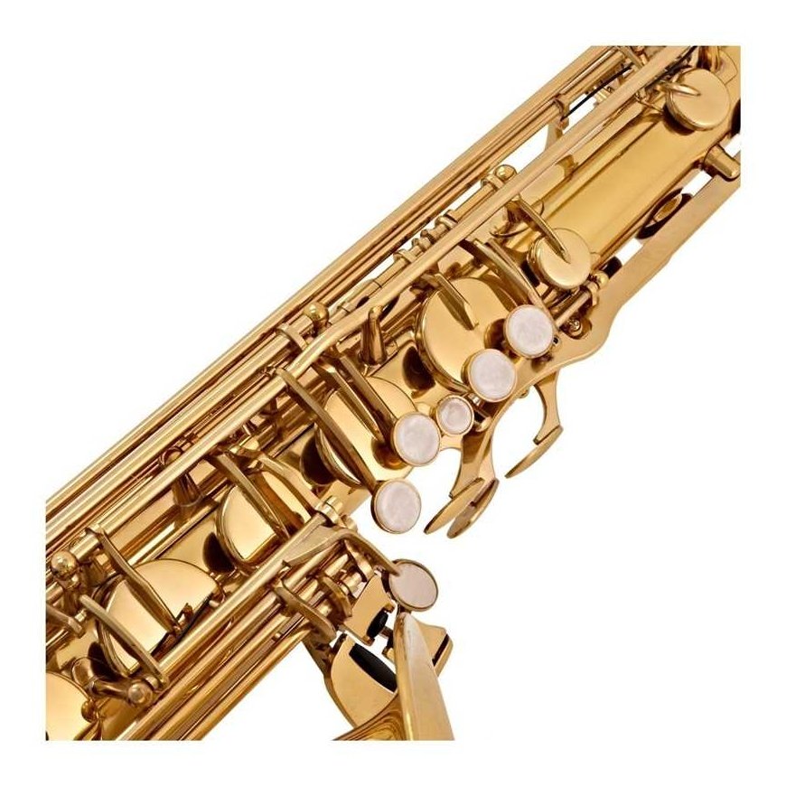 V Tone V-TONE TS 100 tenora