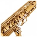 V-TONE TS 100 tenoriksaksofon koos kaanega V-TONE TS 100 tenoriksaksofon koos kaanega