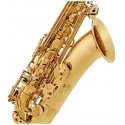 V-TONE TS 100 tenorinis saksofonas su dangteliu V-TONE TS 100 tenorinis saksofonas su dangteliu