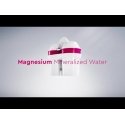 BWT Magnio Mineralizuotas Vanduo 4 vnt. Promopack