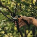 Fiskars Solid M P321 секатор Обводной Черный, Оранжевый