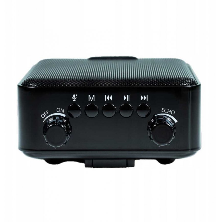 Kantav Bluetooth kõlar DNA PPS1 – 3