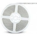 V-tac 8W/m LED strip, 120LED/m, 12V, 6500K, IP65, 5 meter roll V-tac 8W/m LED strip, 120LED/m, 12V, 6500K, IP65, 5 meter roll