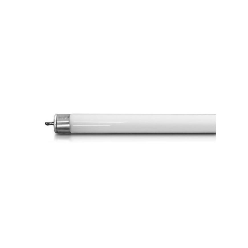 8W T5 lamp V-TAC for insect trap, 30.5cm, G5, white