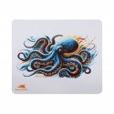 Baracuda BGMP-051 Octopus 300x250 Baracuda BGMP-051 Octopus 300x250