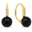 Brilio Silver Charming gold-plated jewelry set with dark pearls SET291YBC (earrings, pendant)