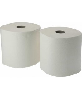Pro ecoter valymo šluostė, celiuliozės ritinys, 2 sluoksniai, 200 m, 2 vnt.