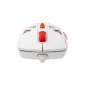 Baracuda BGM-092 Seal White Baracuda BGM-092 Seal White