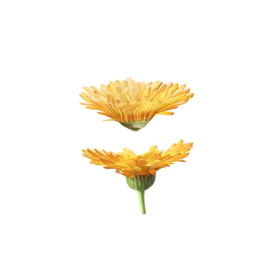 Weleda Calendula Cream Bath 200 ml – 3