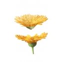 Weleda Calendula Cream Bath 200 ml Weleda Calendula Cream Bath 200 ml