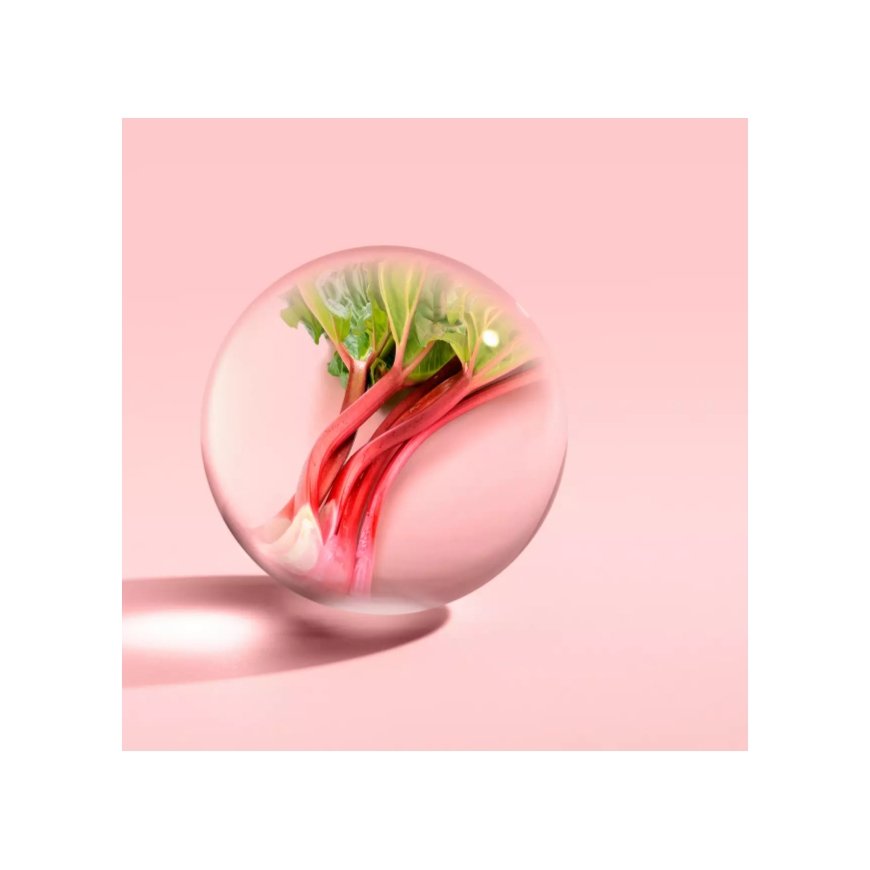 Molton Brown Delicious Rhubarb & Rose 100 ml Naised – 4