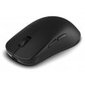 Endgame Gear OP1W 4K V2 hiiri Pelaaminen Oikeakätinen RF Wireless + USB Type-A Optinen 30000 DPI Endgame Gear OP1W 4K V2 hiiri Pelaaminen Oikeakätinen RF Wireless + USB Type-A Optinen 30000 DPI
