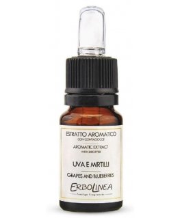 Kvepalų namams ekstraktas Erbolinea Uva E Mirtilli ERBO70006, 10 ml