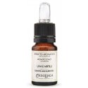Экстракт для парфюмерных домов Erbolinea Uva E Mirtilli ERBO70006, 10 мл Экстракт для парфюмерных домов Erbolinea Uva E Mirtilli ERBO70006, 10 мл
