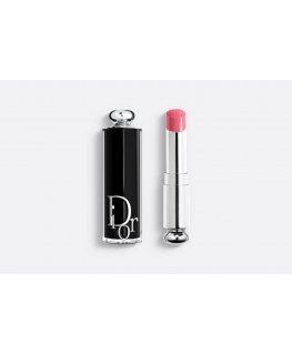 Dior Addict 3,2 g 373 Rose Celestial Särav