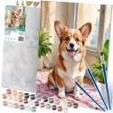 Glezna pēc skaitļiem 40x50 cm Massido Corgi suns Glezna pēc skaitļiem 40x50 cm Massido Corgi suns